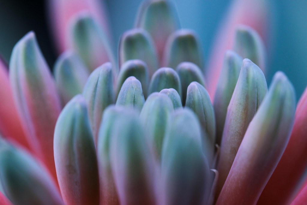 Retrograde Season 2020