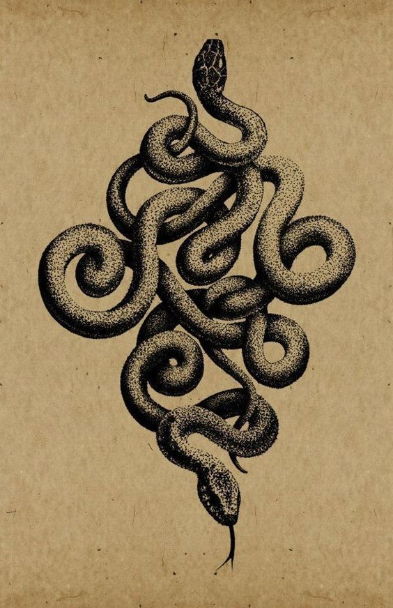 Rahu& Ketu Taurus/Scorpio 2020- Collective Shift